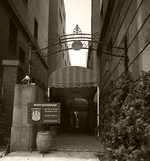 1965年当時のアルテリーベ